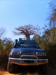Madagascar tour viaggi