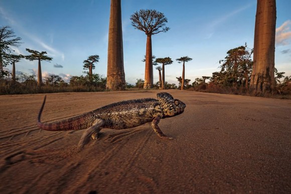 Madagascar viaggi tour vacanza