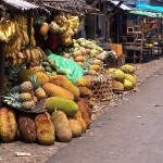 Sulla strada per Tamatave