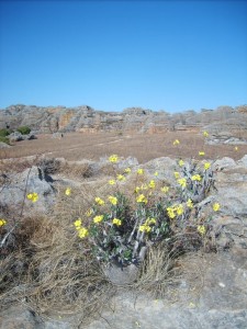 Madagascar viaggio tour parchi 5