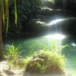 Piscina naturale nel parco dell'Isalo