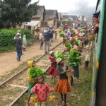 Sul treno per Manakara