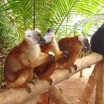 Madagascar tour viaggi