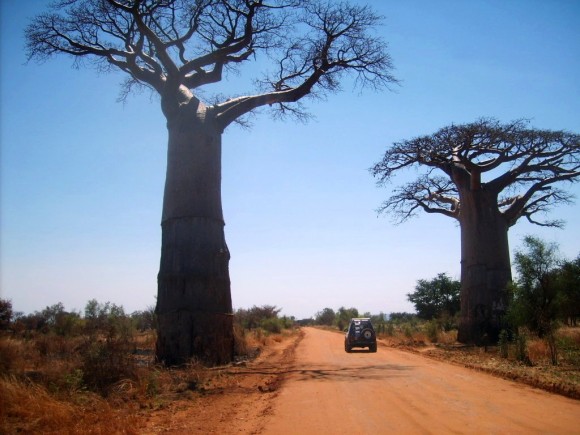 Madagascar tour viaggi vacanza